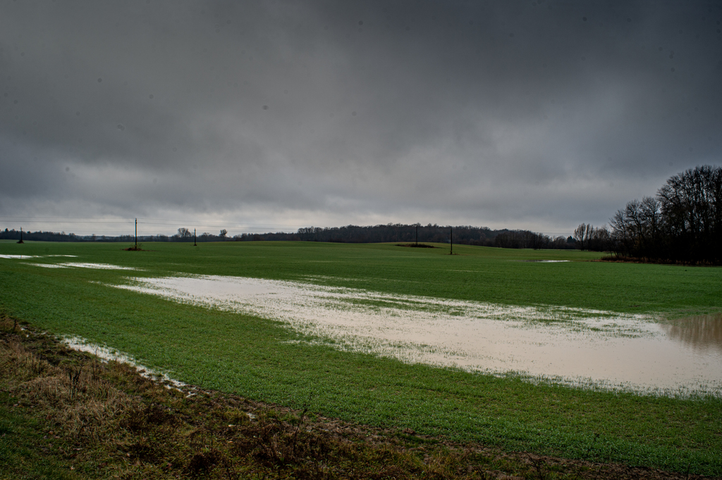 Fotó: Röhrig Dániel