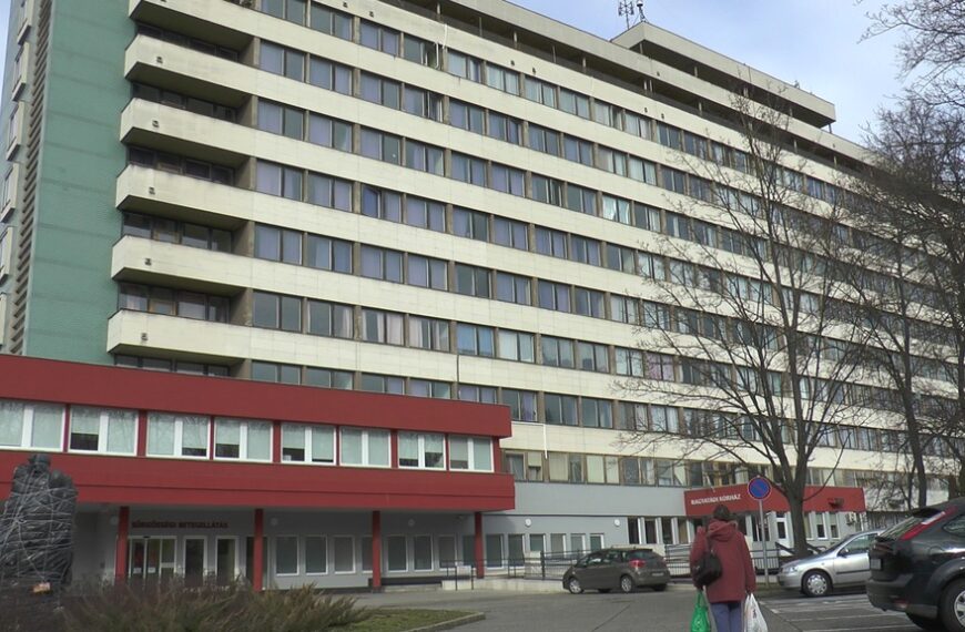A jelenlegi magyar EFI irodák