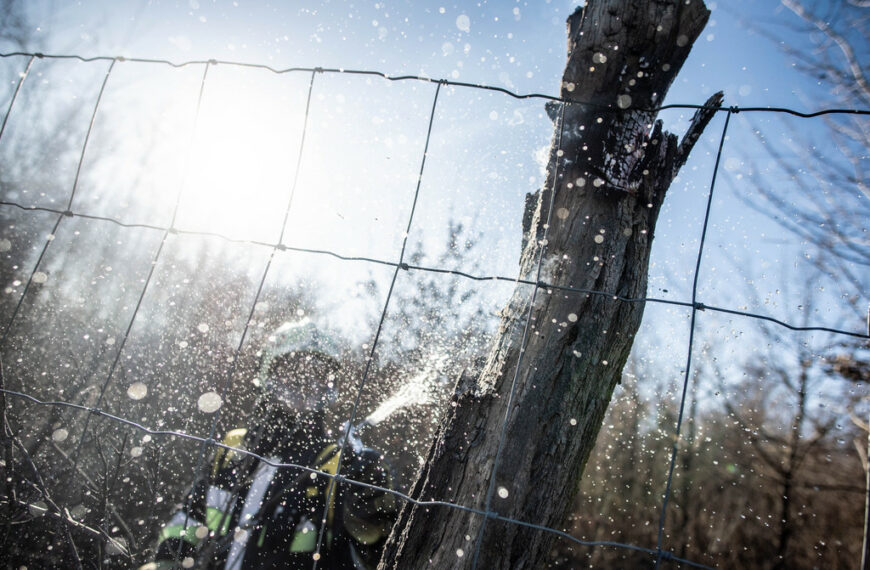 A területet körülvevő kerítéselemek is kigyulladtak