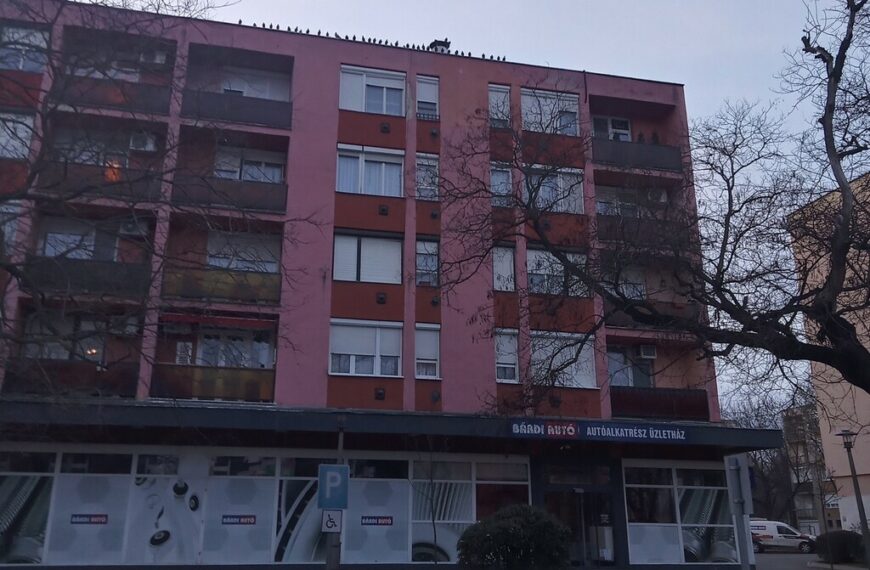 Élvefogó galambcsapda at egyik nagyatádi társasház tetején