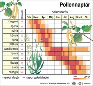 Több növény pollenkoncentrációja is eléri már a magas szintet
