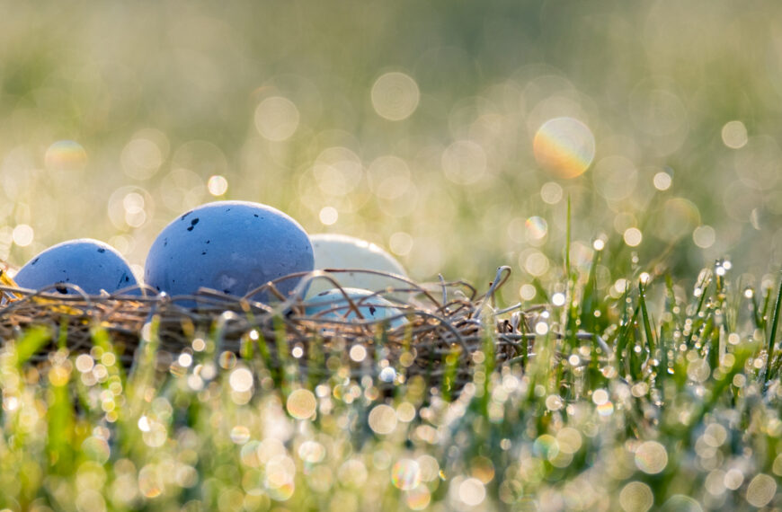 Depositphotos