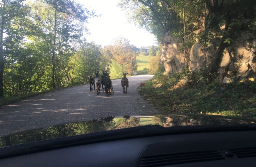Gyönyörű tájakon vezet majd a pálya hétvégén - Fotó: Merencsics Árpád