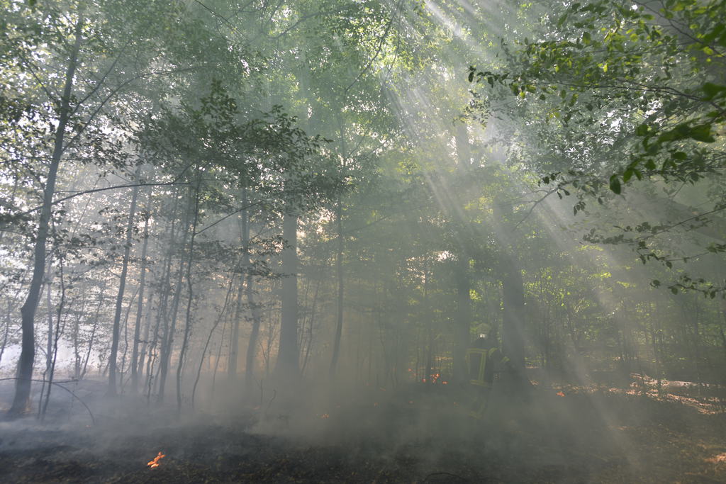 Két hektár lángol az erdő mellett Bolhásnál (9 / 2. kép)