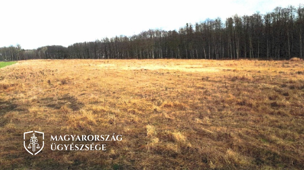 A felhasznált képek az ügyben beszerzett igazságügyi szakértői véleményben szerepeltek. (2 / 2. kép)