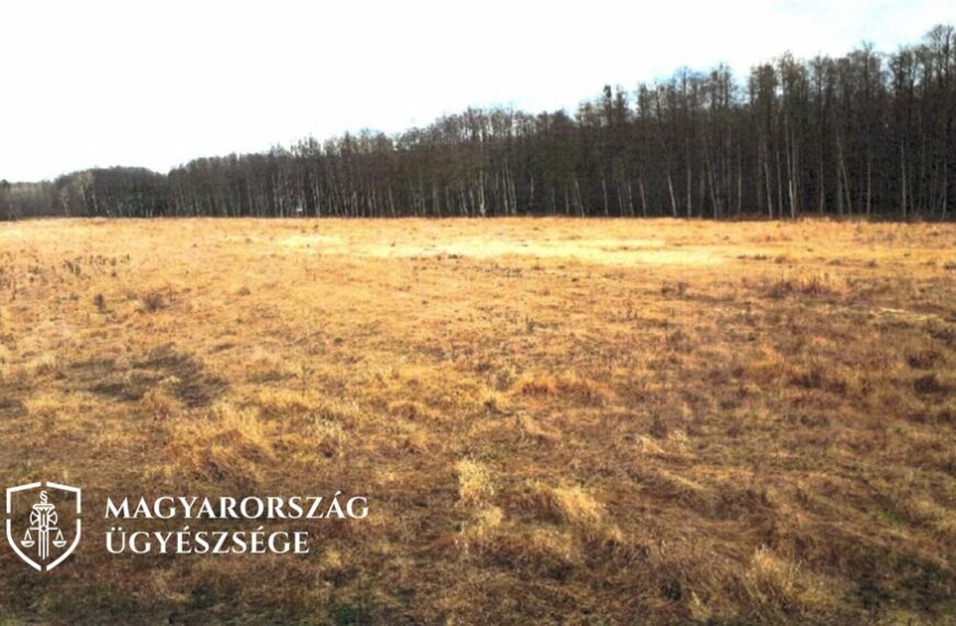 A felhasznált képek az ügyben beszerzett igazságügyi szakértői véleményben szerepeltek.
