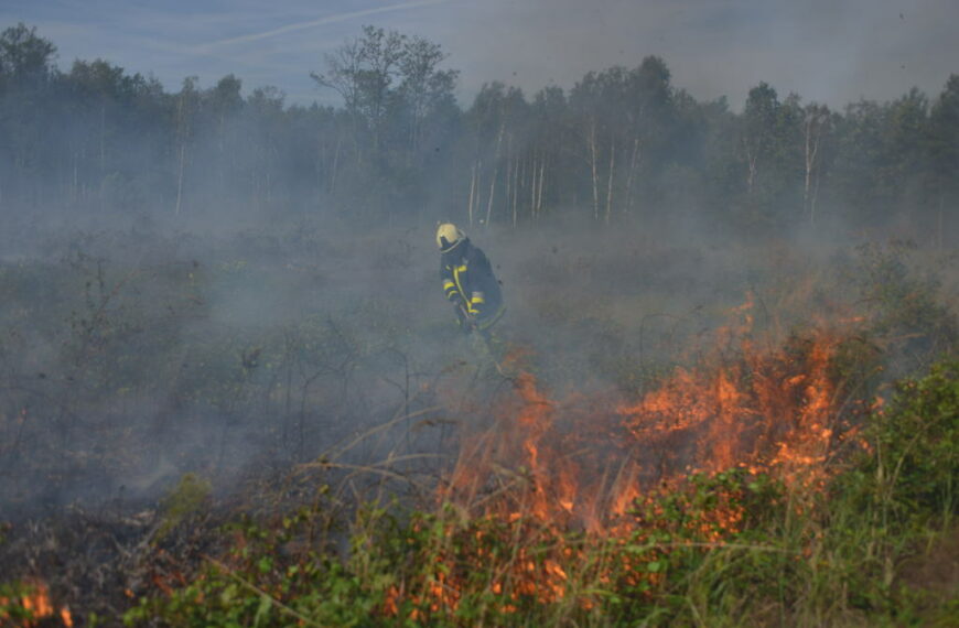 Lángol a csemetés Mike mellett