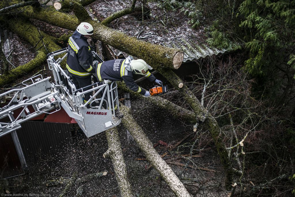 A tűzoltók a kosárról fértek hozzá a kidőlt fa tetejéhez