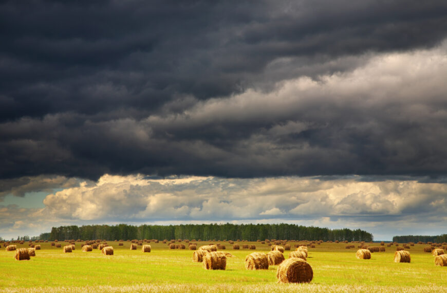 Depositphotos