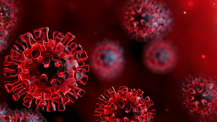 Ötvenre nőtt az új koronavírussal fertőzött betegek száma (2 / 2. kép)