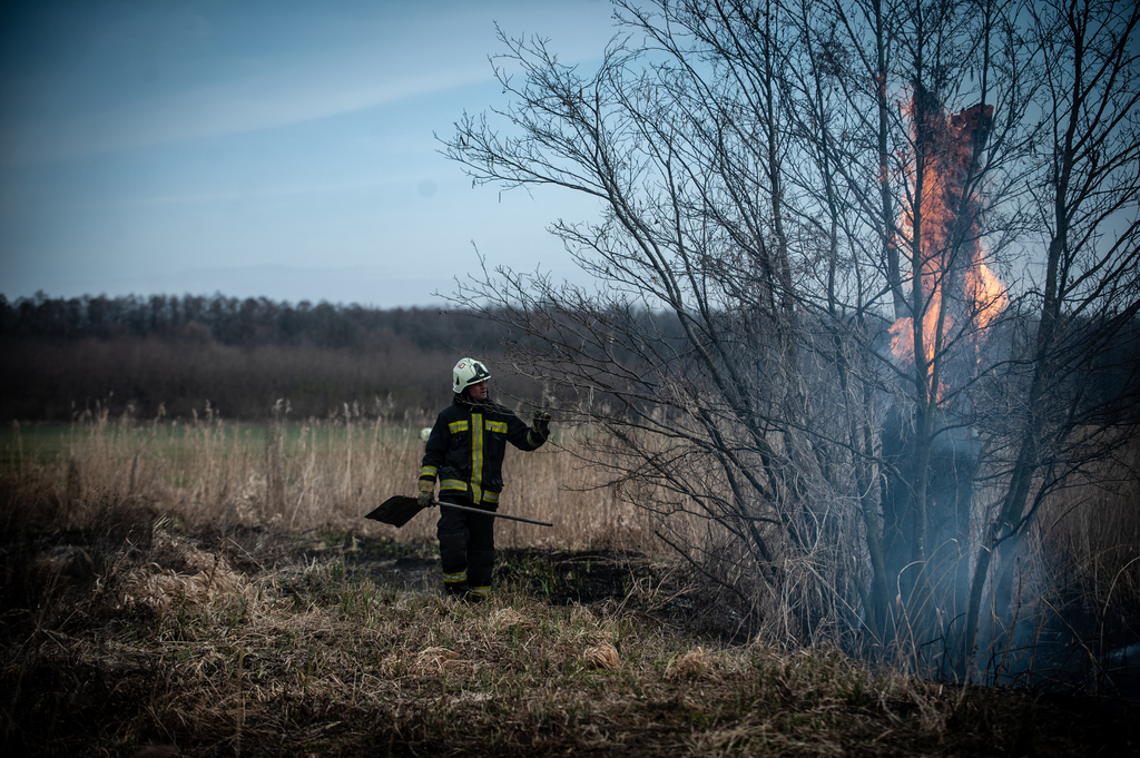 A fákra is átterjedt a tűz (14 / 2. kép)