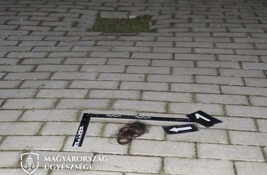 A fényképen a sértett dulakodás során kitépett hajcsomója látható, melyet a nyomozó hatóság a helyszíni szemle során rögzített.