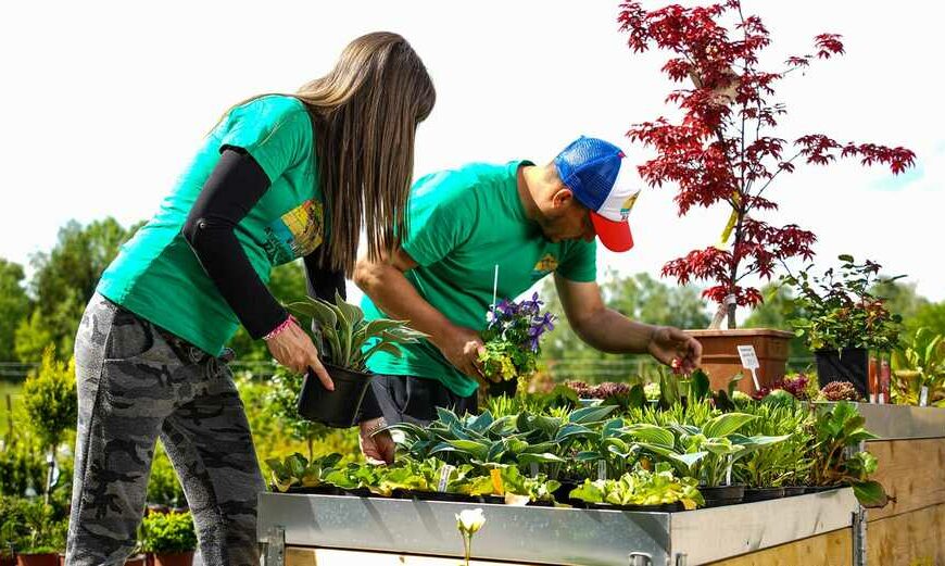 A kertészet megalkotói: Farkas Péter és Basa Alexandra