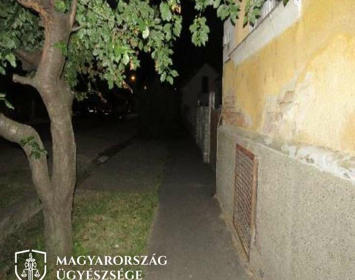 A fényképet a nyomozó hatóság készítette a vádlott elfogását követően, a kiskorú sértett bántalmazásának helyszínén.