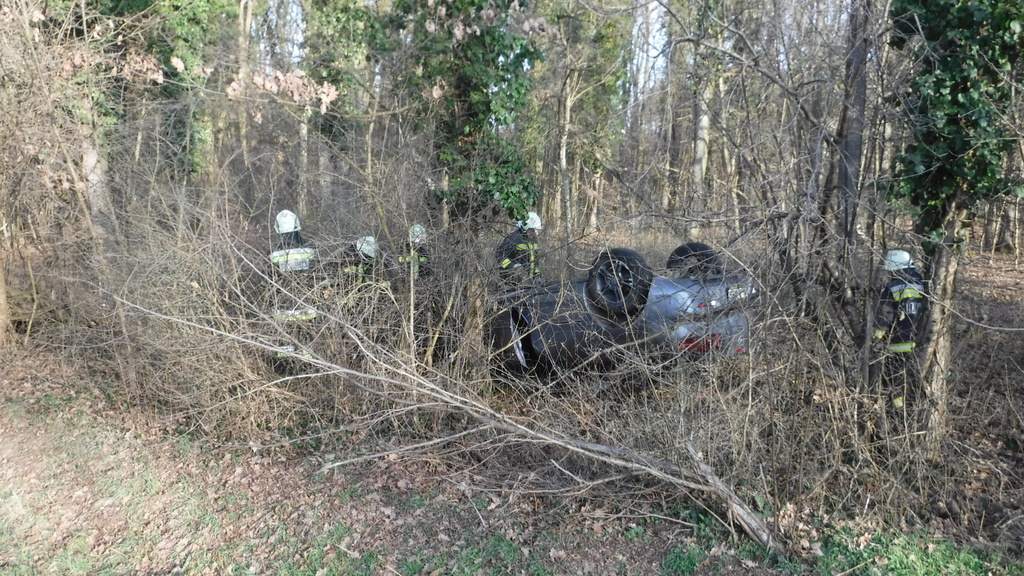 Az autó a fák között állt meg - a sofőr szerencsére csak könnyen sérült (4 / 1. kép)