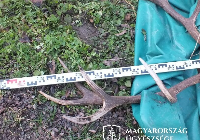 A lopott trófeáról a képet a fonyódi rendőrök készítették.