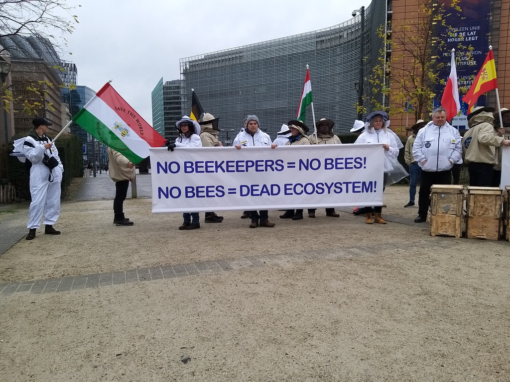 Magyar méhésztüntetés Brüsszelben (3 / 2. kép)