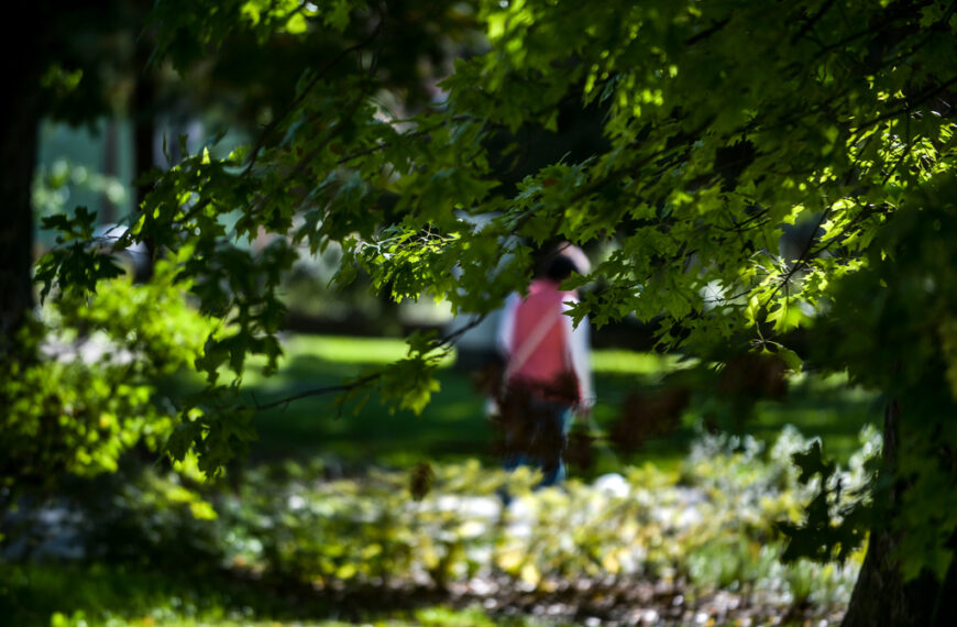 Fotó: Röhrig Dániel