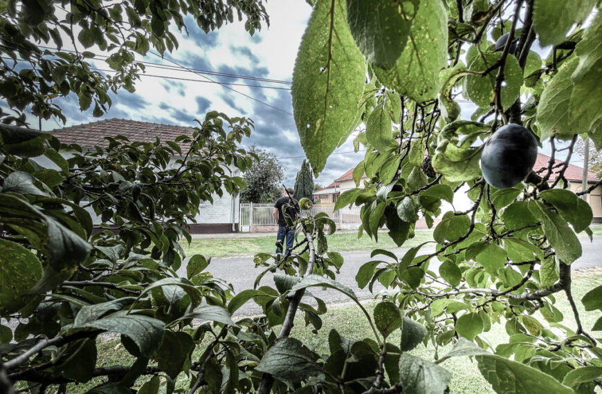Fotó: Röhrig Dániel