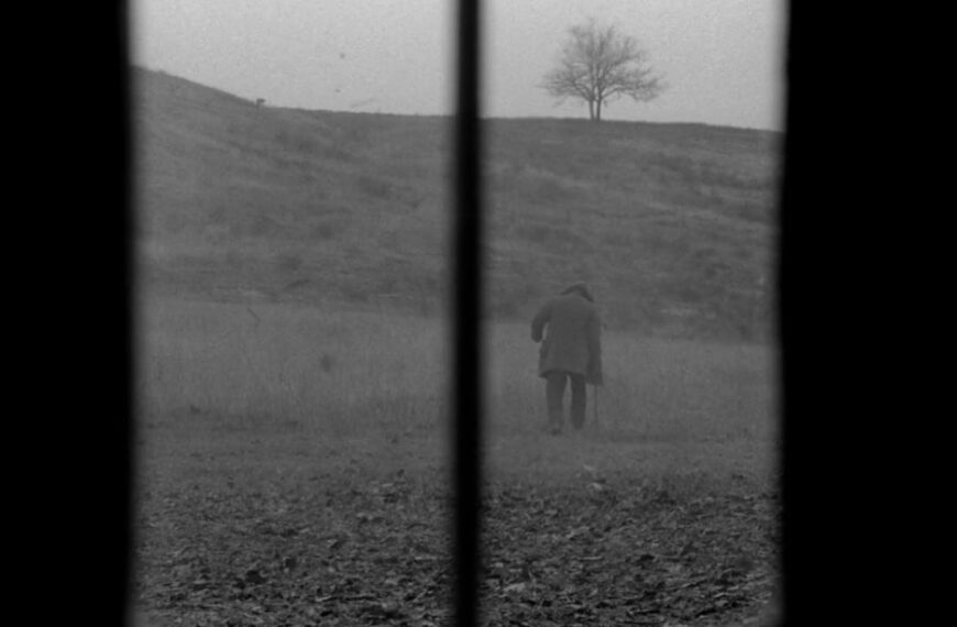 A nyitókép illusztráció.