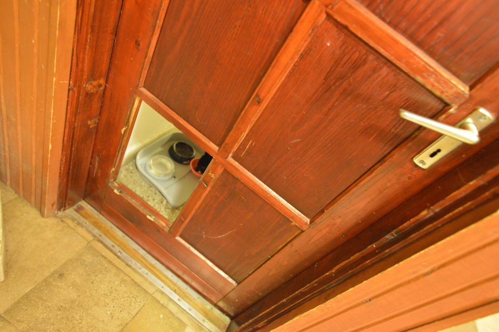 Íme Lajos saját személyzeti bejáratának ajtajánál. Éppen vacsora közben zavartuk meg a Napkirályt (14 / 11. kép)
