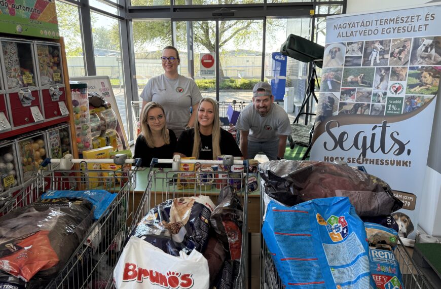 Mázsaszámra érkezett az adomány a menhelyi állatoknak
