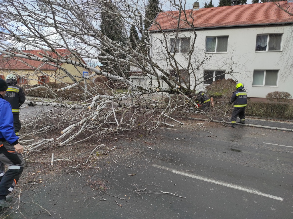 Autókra, épületekre és útra dőlt fák - Nagyatád HTP (14 / 1. kép)