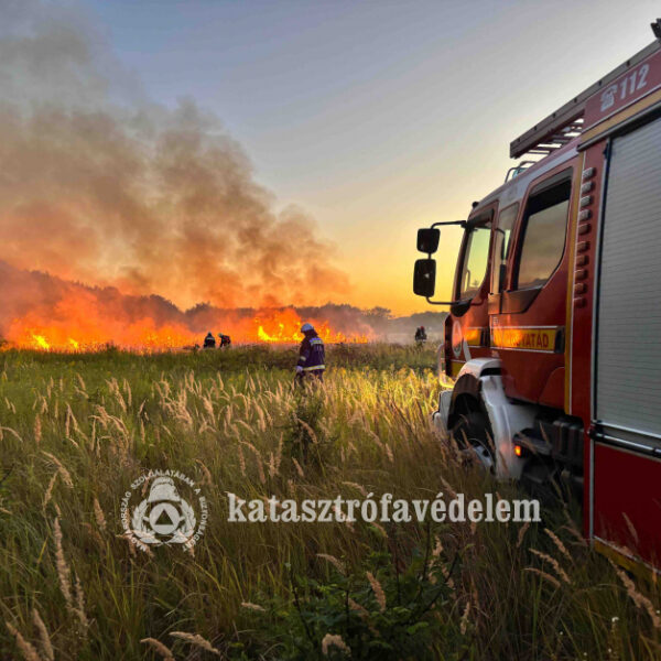 Majdnem sikerült felgyújtani az erdőt Kutason