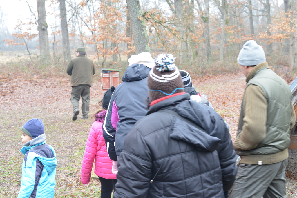 Még a téli hidegben is jól esik egy hosszú séta a természetben (37 / 11. kép)