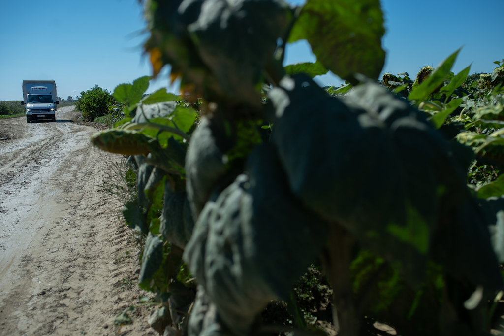 A leszakadt Rinya-híd Segesdnél, az elkerülő földút és a munkálatok Beleg környékén (26 / 14. kép)