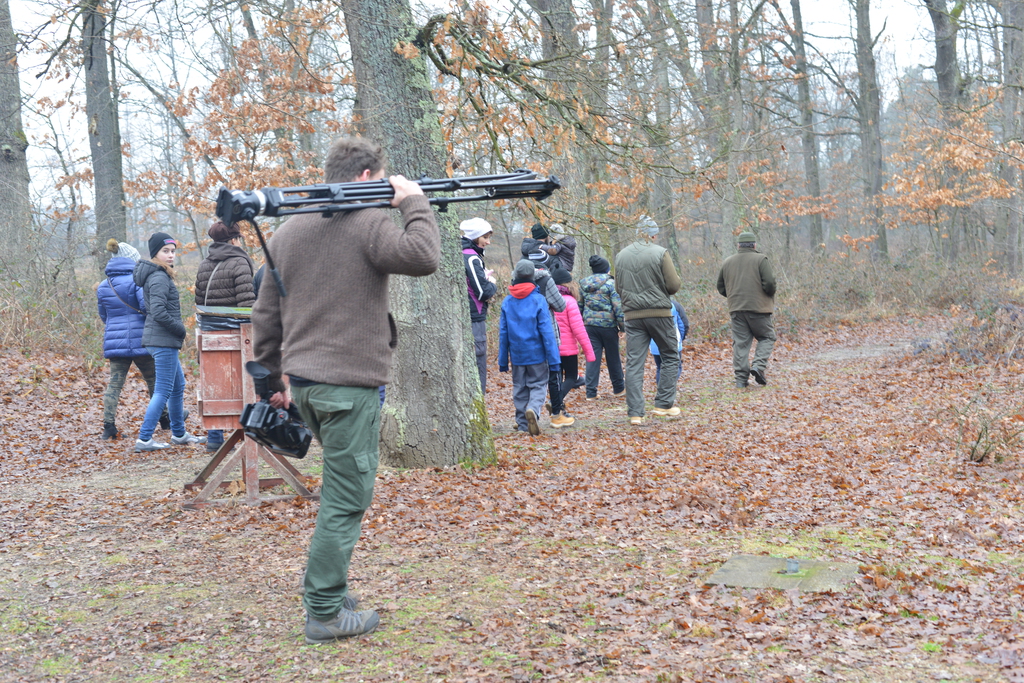 Még a téli hidegben is jól esik egy hosszú séta a természetben (37 / 13. kép)