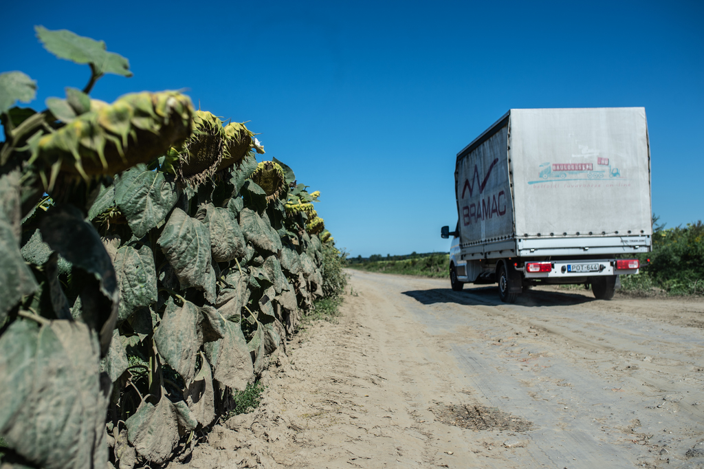 A leszakadt Rinya-híd Segesdnél, az elkerülő földút és a munkálatok Beleg környékén (26 / 15. kép)