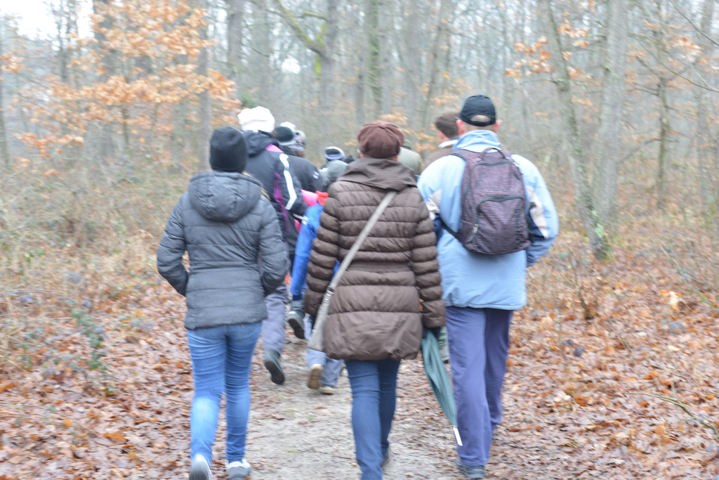 Még a téli hidegben is jól esik egy hosszú séta a természetben (37 / 14. kép)