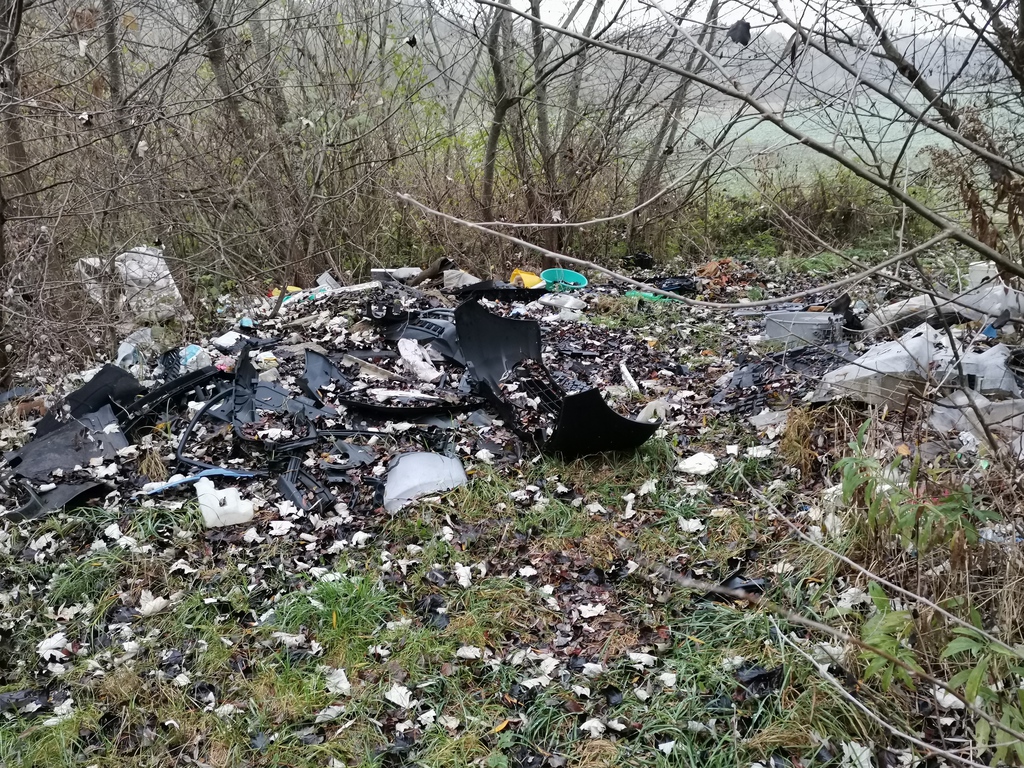 Fotók: Kaszó Zrt. (18 / 6. kép)