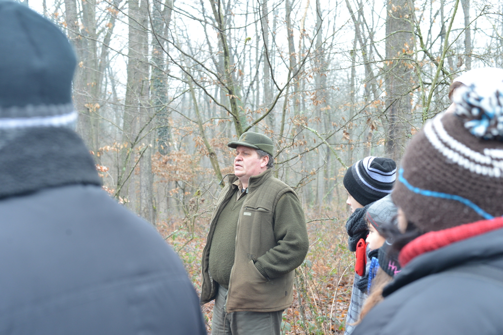 Még a téli hidegben is jól esik egy hosszú séta a természetben (37 / 15. kép)