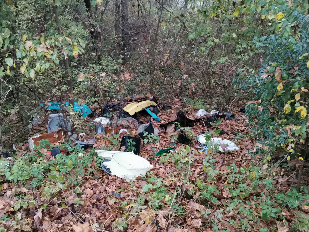 Fotók: Kaszó Zrt. (18 / 7. kép)