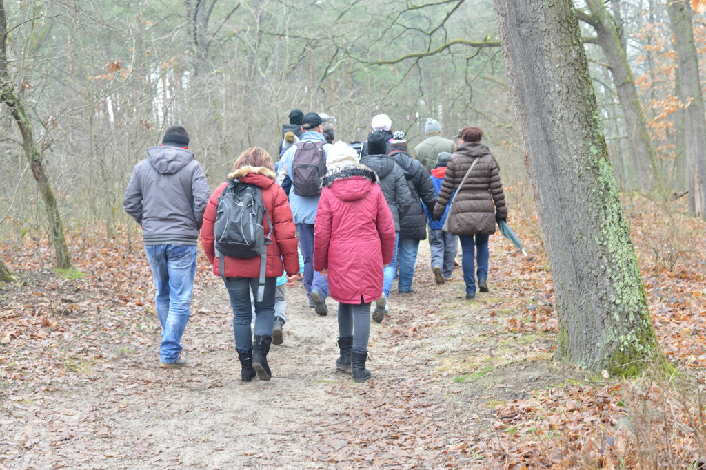 Még a téli hidegben is jól esik egy hosszú séta a természetben (37 / 17. kép)