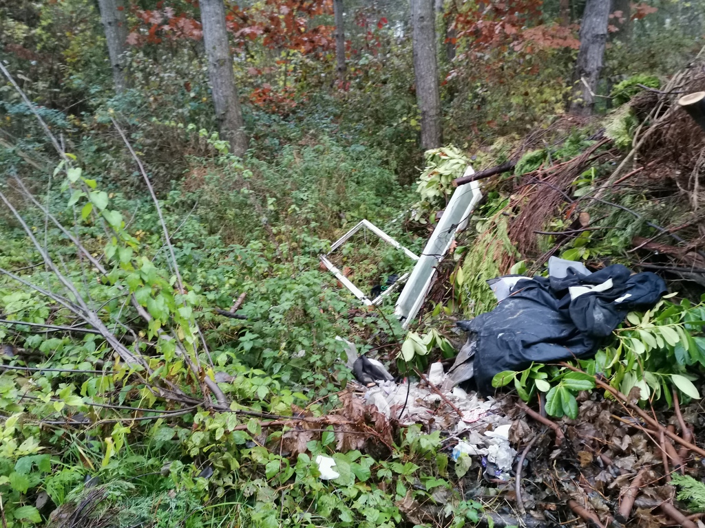 Fotók: Kaszó Zrt. (18 / 8. kép)