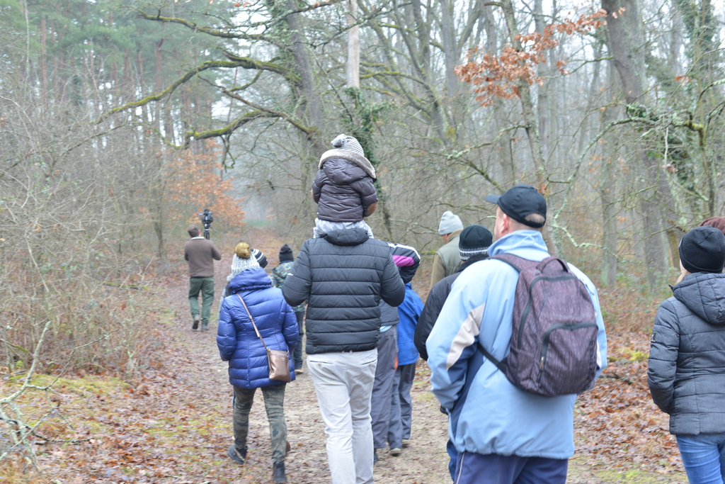 Még a téli hidegben is jól esik egy hosszú séta a természetben (37 / 18. kép)