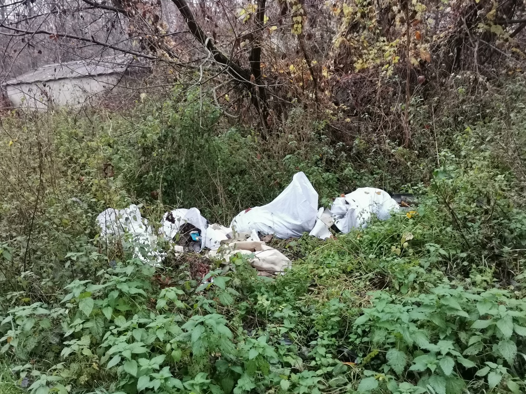 Fotók: Kaszó Zrt. (18 / 9. kép)