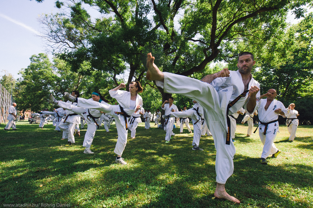 Fegyelem, összpontosítás, harmónia - mindezek elérését segíti a karate (5 / 1. kép)