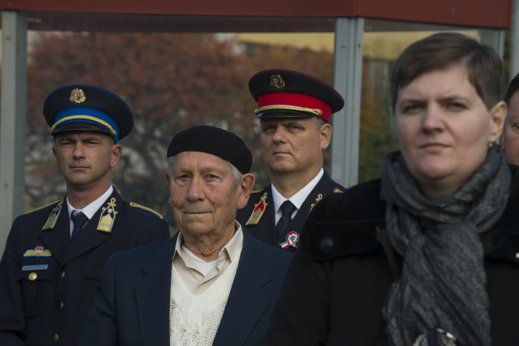 A helyi szervezetek képviselői koszorúikkal tisztelegtek a hősök emléke előtt - Fotó: Röhrig Dániel (24 / 3. kép)