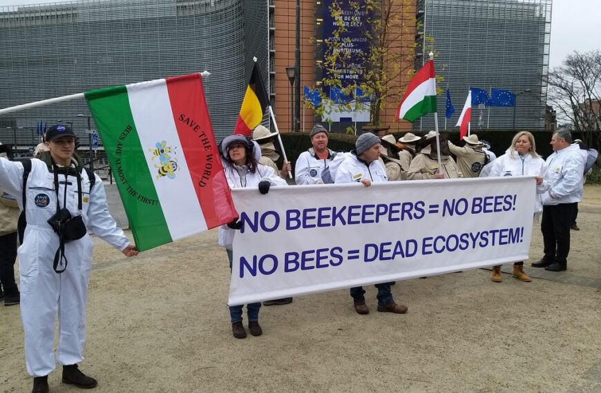 Magyar méhésztüntetés Brüsszelben