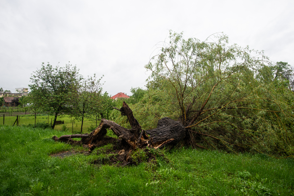 Fotó: Röhrig Dániel (3 / 3. kép)