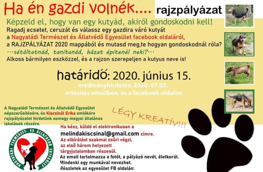 A pályázat leírása