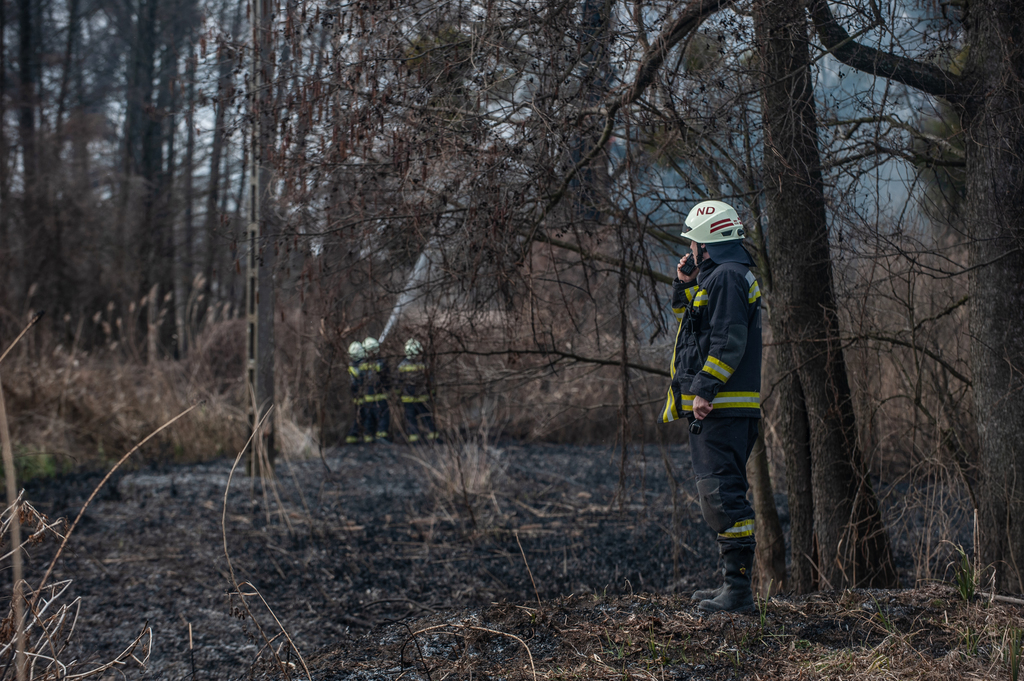 A fákra is átterjedt a tűz (14 / 3. kép)