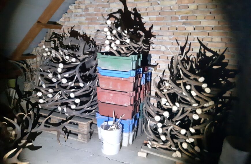 Fotók: rendőrség
