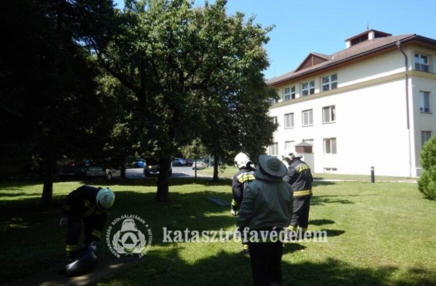 Lódarazsak és égő fagylatos pult
