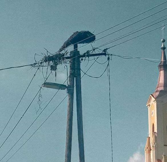 Az első képen éppen esik, a második képen pedig már a földön hever a túlsúlyos fészek