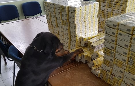 Csempészcigire bukkant Boo